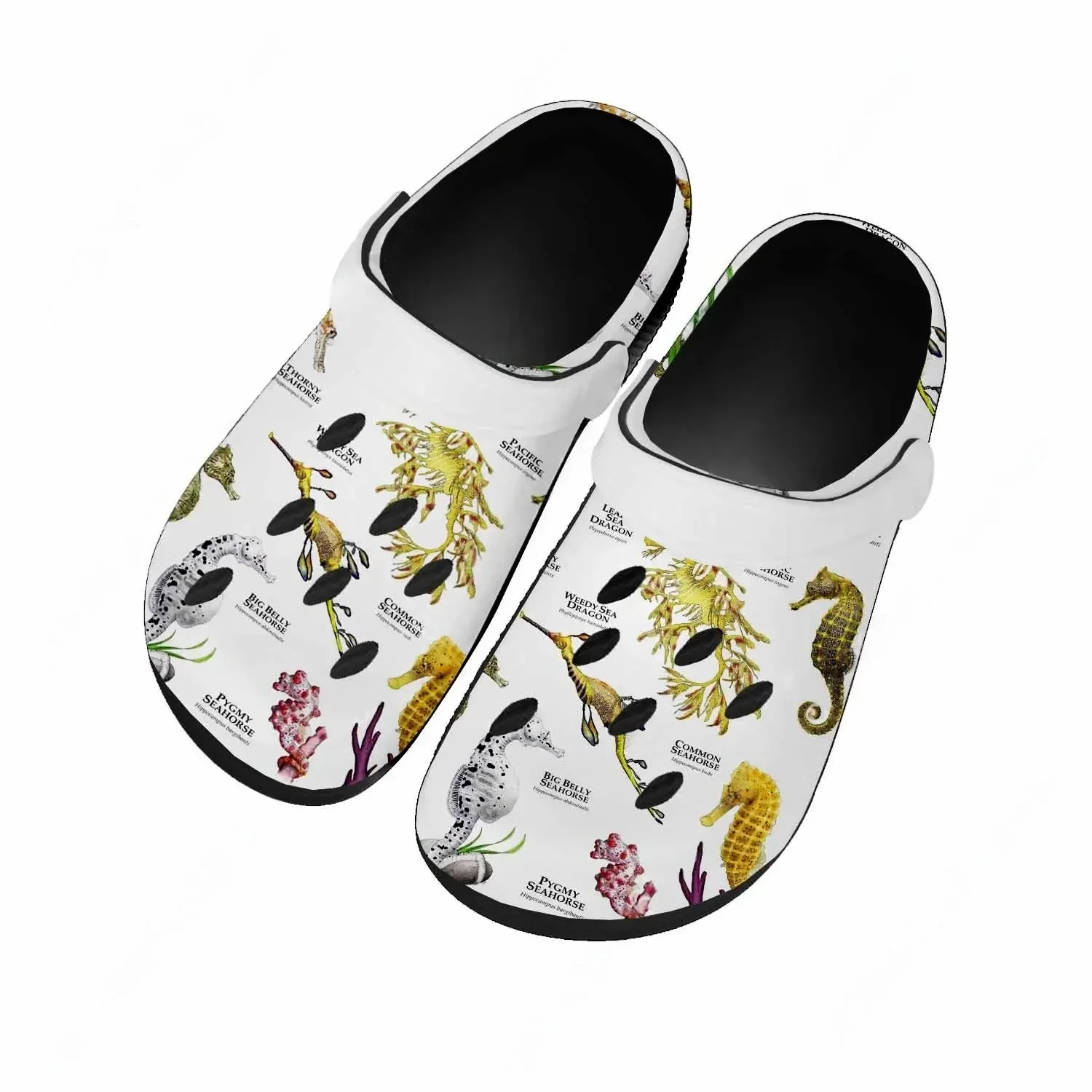 Seahorse Sandals Women Teenage - Men'S Shoes Quality recension och pris
